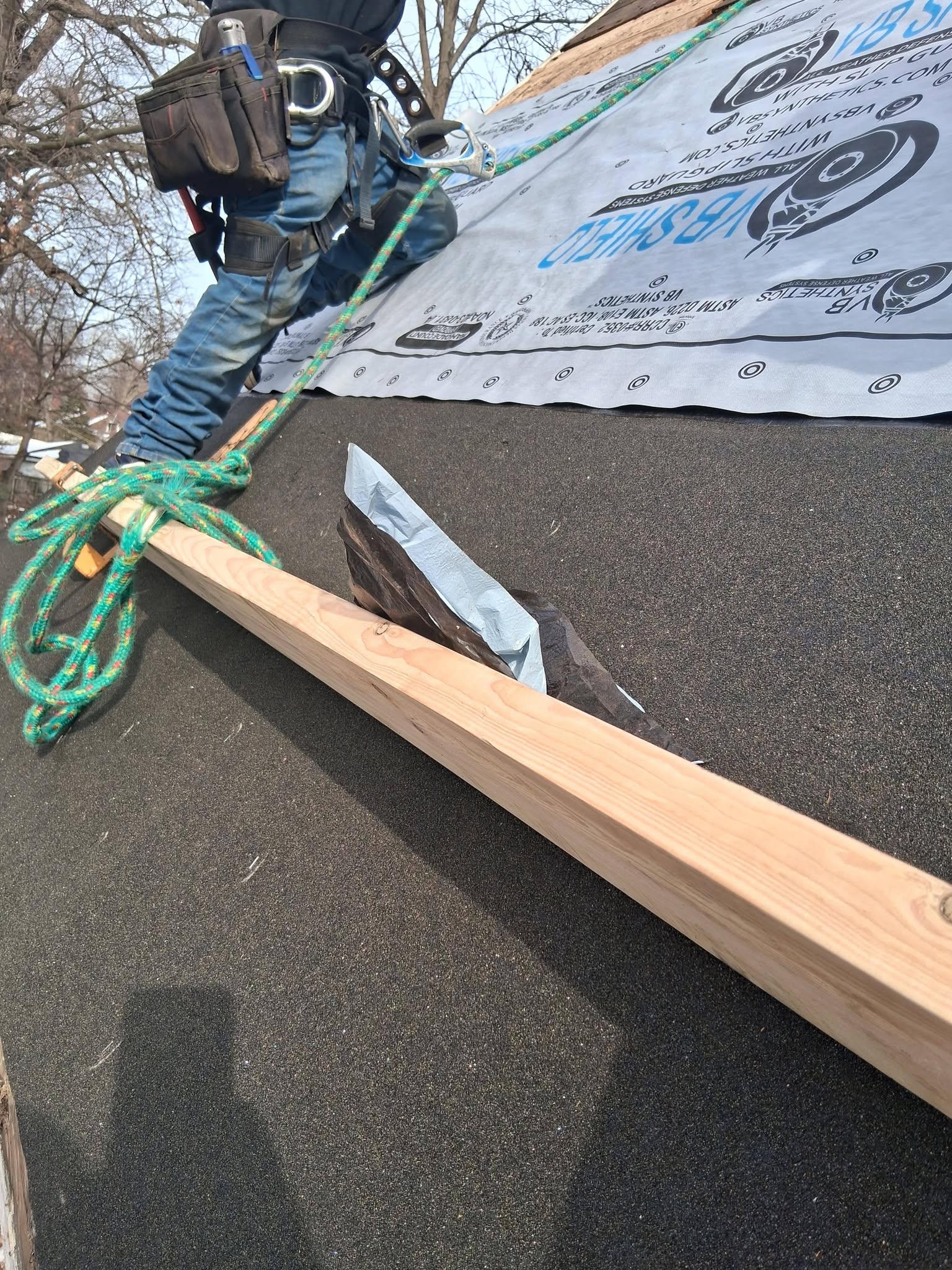 Shingle Replacement project 2